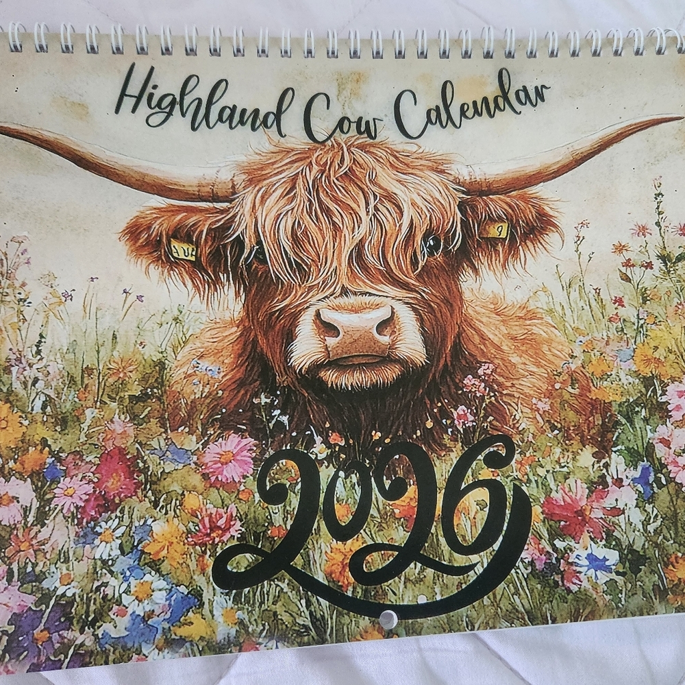 Highland Cow Calendar 2026 New 11"x8"